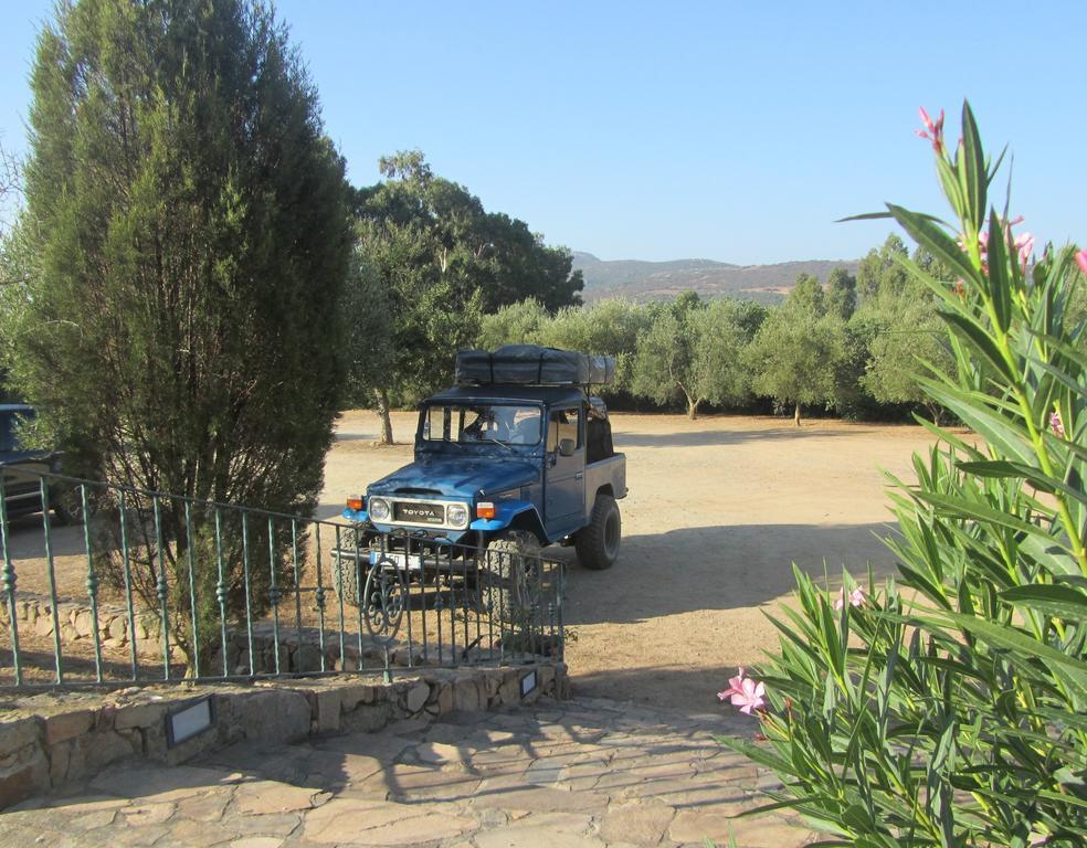 Agriturismo Sa Tiria تويلادا المظهر الخارجي الصورة
