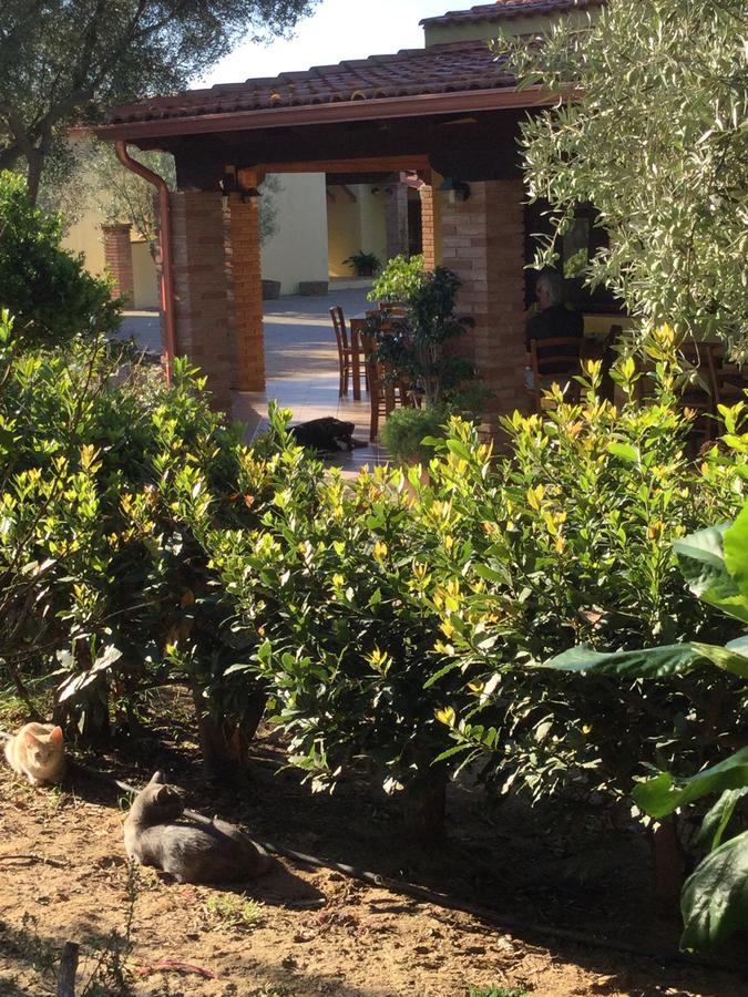 Agriturismo Sa Tiria تويلادا المظهر الخارجي الصورة